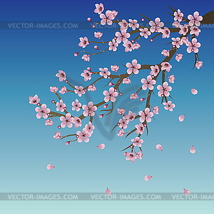 Branch of Sakura over Sky - vector clipart