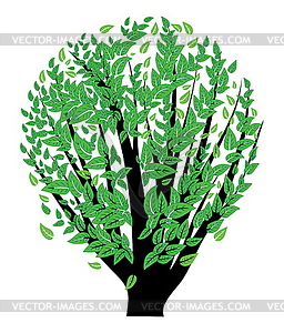 Bush with green leaves - vector image