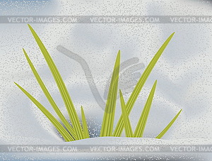 Green grass in snow - vector clipart