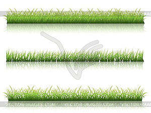 Green grass line - vector image