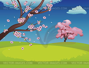 Sakura on Grass Field - vector clip art