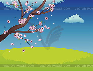 Sakura on Grass Field - vector clipart