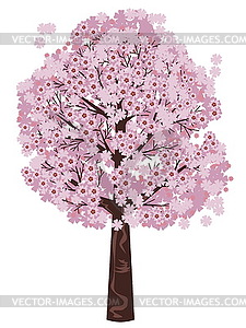 Blooming Sakura Tree - royalty-free vector image