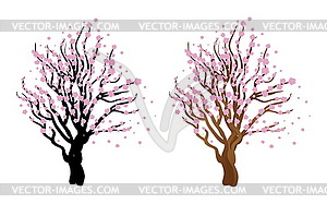 Cherry with blossom - vector clipart