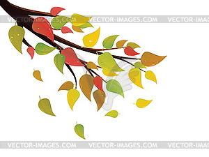 Fall Leaves on Branch - vector image