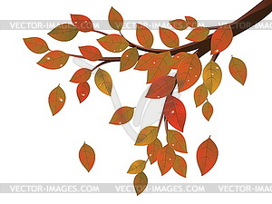 Fall Leaves on Branch - vector clip art