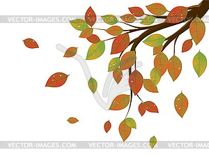 Fall Leaves on Branch - vector clipart