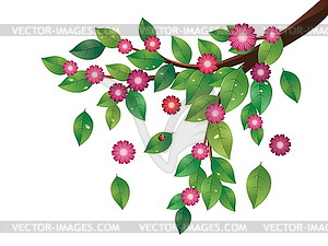 Pink Flowers and Green Leaves Branch - vector EPS clipart