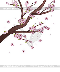 Sakura Tree - vector clipart