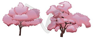 Sakura Tree - vector image