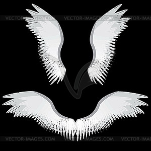 Angel wings - vector image