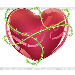 Red Heart with Thorns - vector image