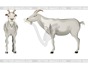 White Goat - vector clipart / vector image