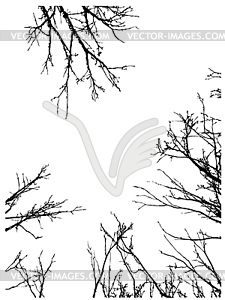 Grunge Branches Frame - vector image