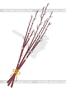 Willow Branches - vector clipart