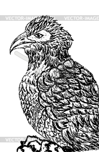 Eagle Sketch - vector clipart