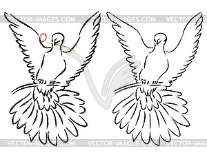 Dove Line Art - vector clip art