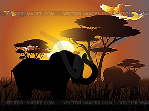 African Sunset with Elephant - royalty-free vector image