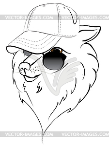 Wolf in Baseball Cap - vector image