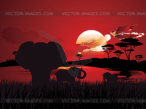 African Sunset with Elephant - vector EPS clipart