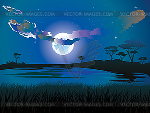 African Night Landscape - vector image