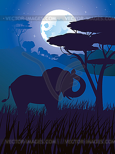 African Night with Elephant - vector clipart / vector image