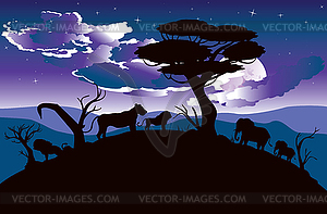 African Night with Lion - vector image