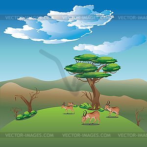 Landscape with Antelopes - vector clipart