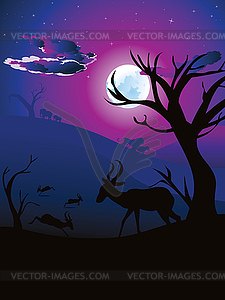 Night Landscape with Antelopes - vector image