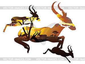 Sunset Landscape with Antelopes - color vector clipart