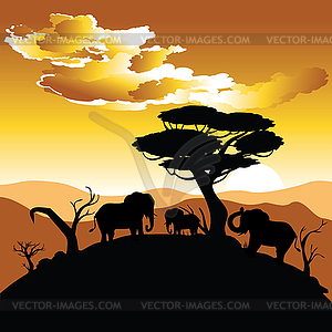 African Sunset with Elephant - vector EPS clipart