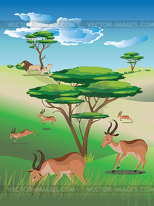 Landscape with Antelopes - vector clipart