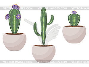 Succulent in Pot - vector image