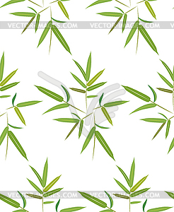 Green bamboo leaves - vector clipart