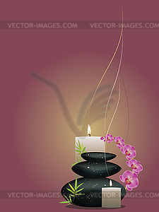 Pebbles with orchid - vector image