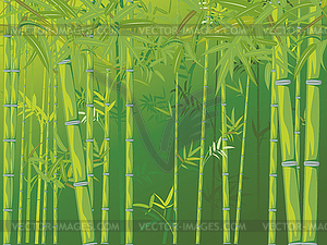 Bamboo forest scene - vector clipart