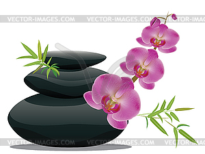 Pebbles with orchid - color vector clipart