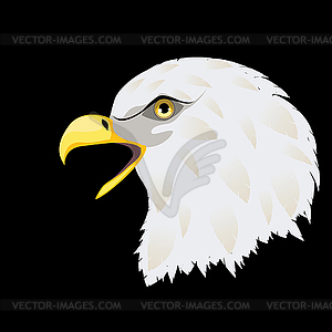 Stylized bald eagle head - vector clipart