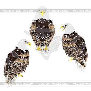 Stylized bald eagle - vector clip art