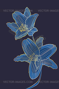 Poster with gold lily - vector clip art