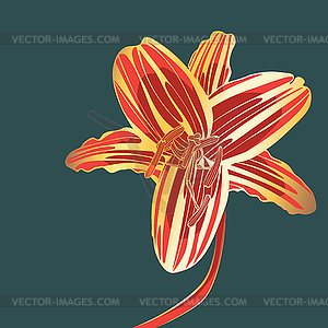 Poster with gold lily - vector image