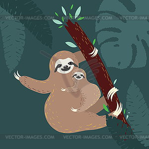 Sloth with baby and tropical leaves - color vector clipart