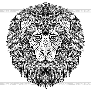 Lion head design - royalty-free vector image