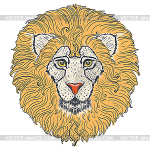 Lion head design - vector clip art