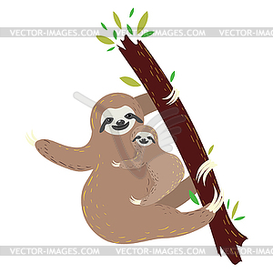 Sloth with baby - color vector clipart