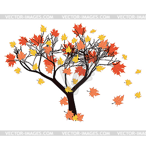 Autumn maple tree with falling leaves - vector clipart