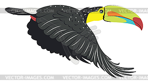 Keel billed toucan - vector clip art