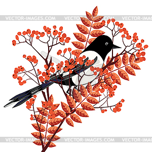 Magpie and rowan - vector image