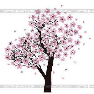 Sakura tree in bloom - vector clipart