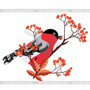 Bullfinch on rowan - vector image